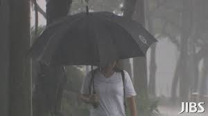 weather forecast