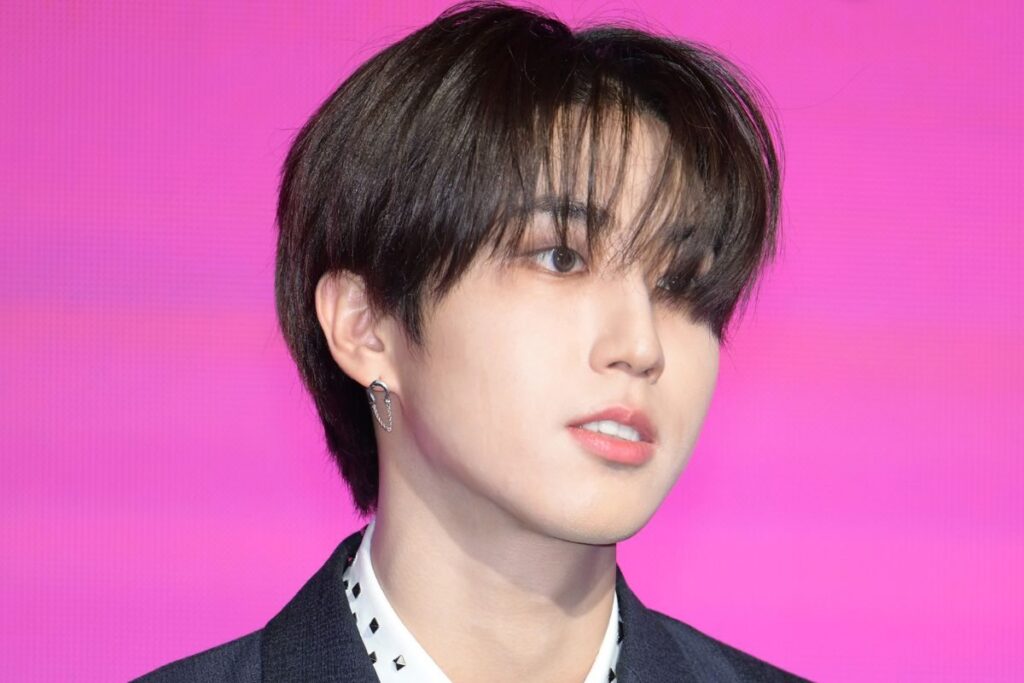 Stray Kids Han donation